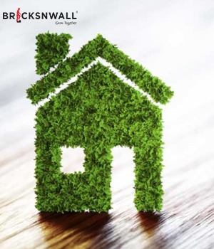 Innovative Home Tips For A Greener Home